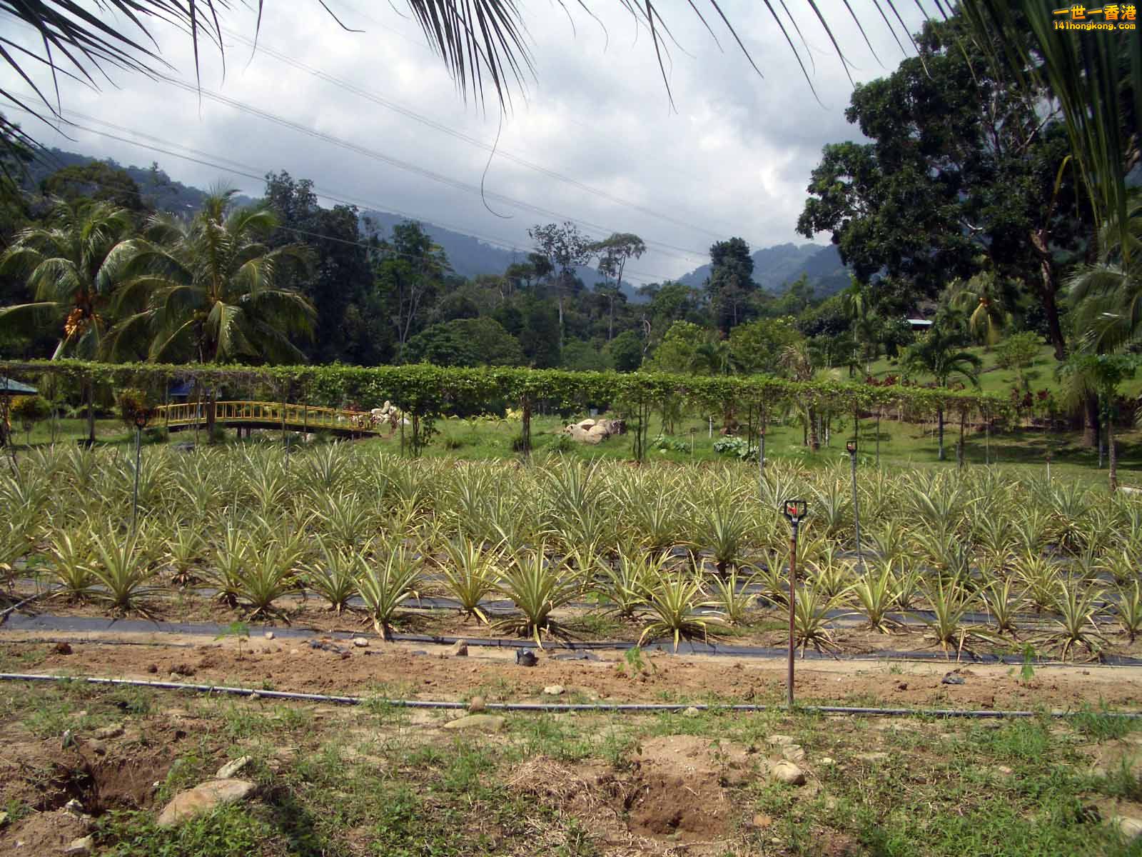 IMGP2280.JPG