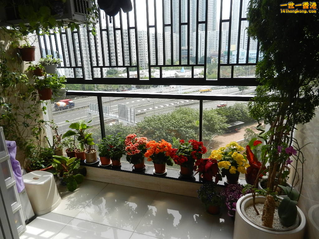 DSCN1241.JPG