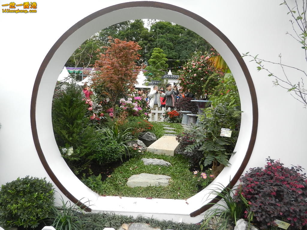 DSCN8532.JPG