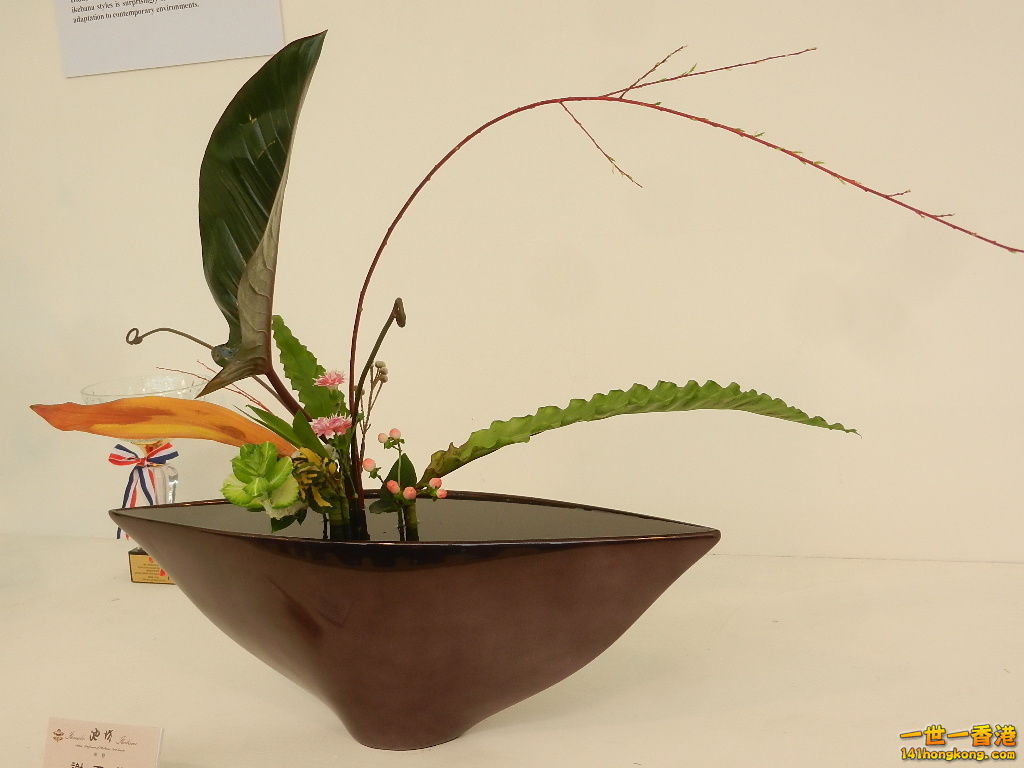 DSCN8585.JPG