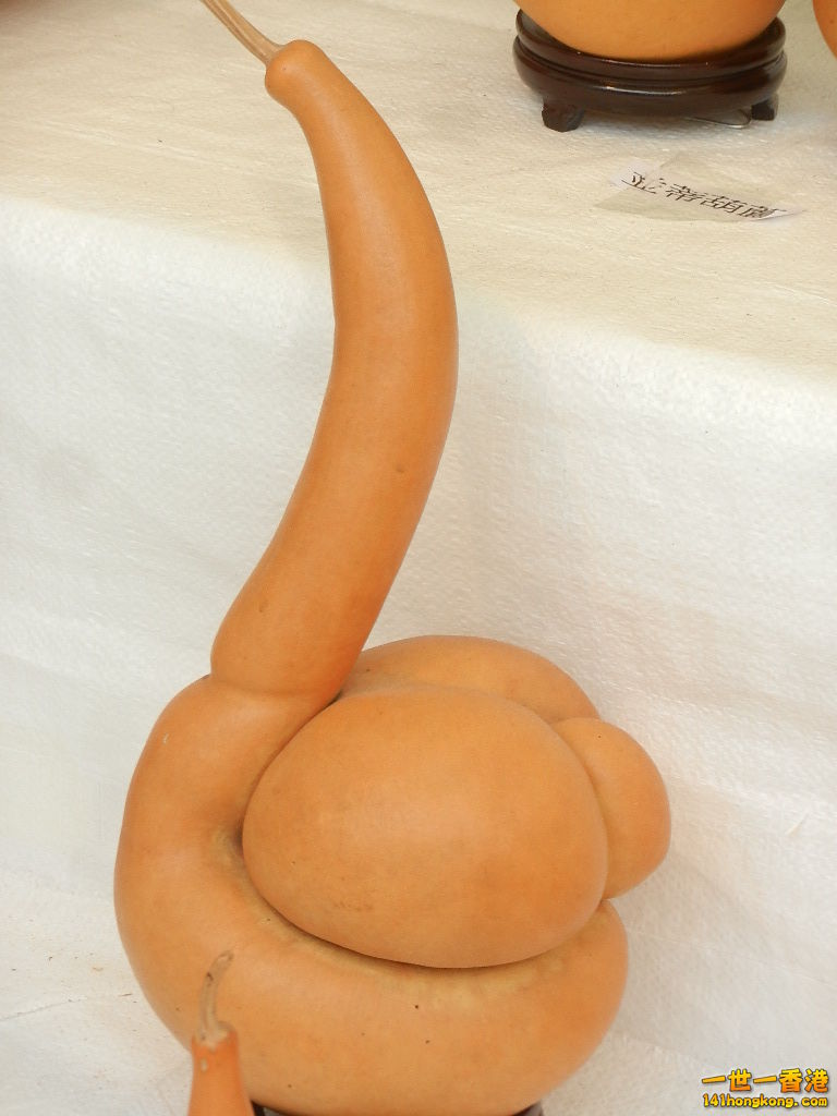 DSCN8614.JPG