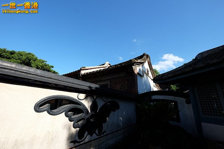 91.jpg