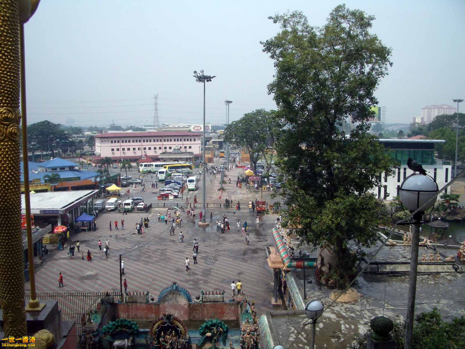 IMGP2328.JPG