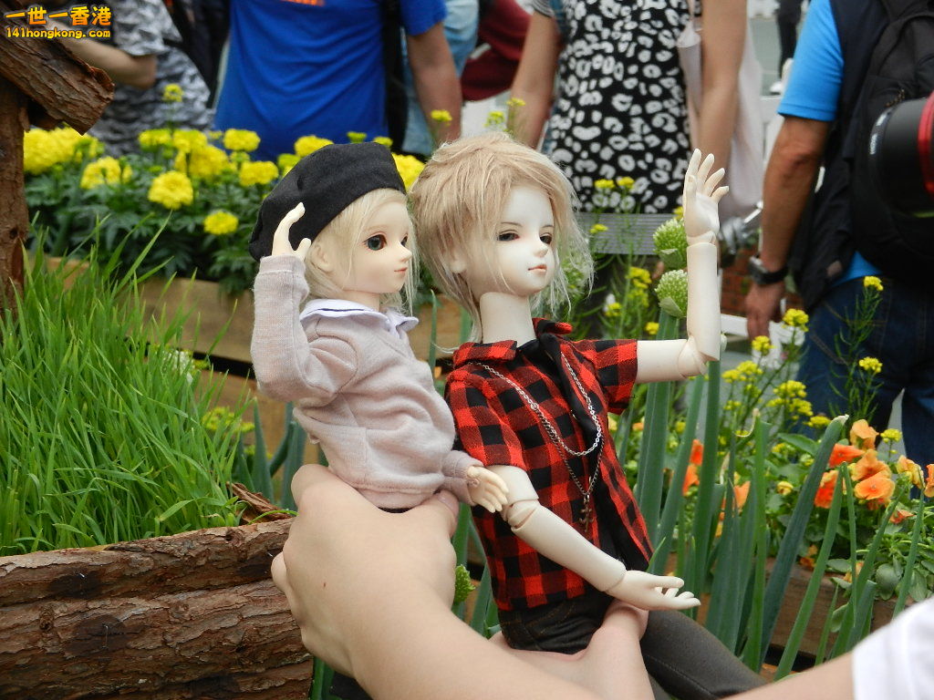 DSCN4319.JPG