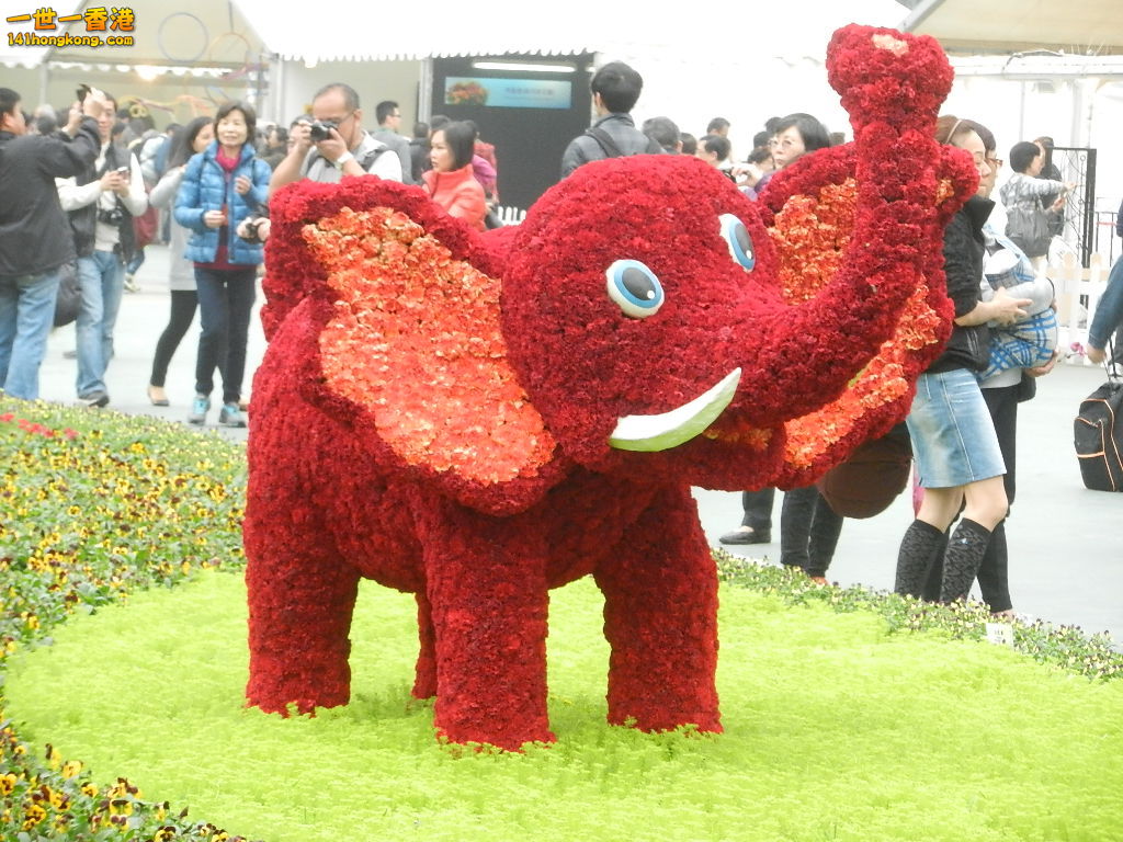 DSCN8736.JPG