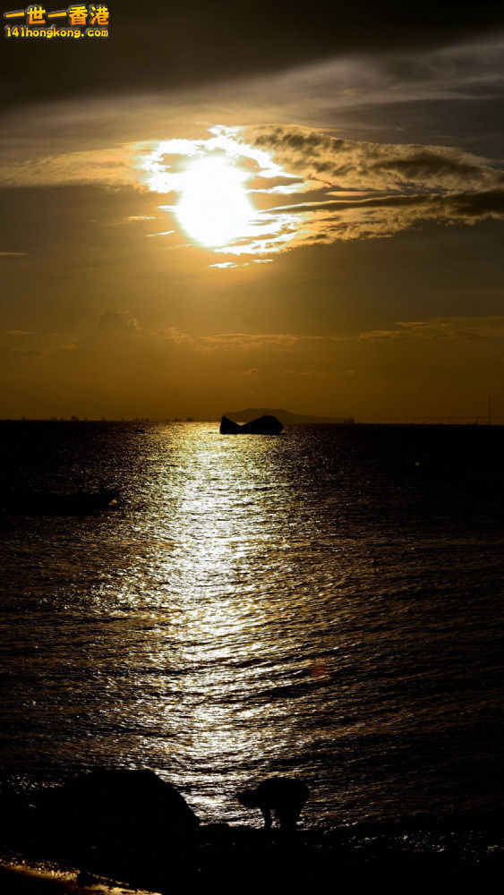 DSC_0001.JPG