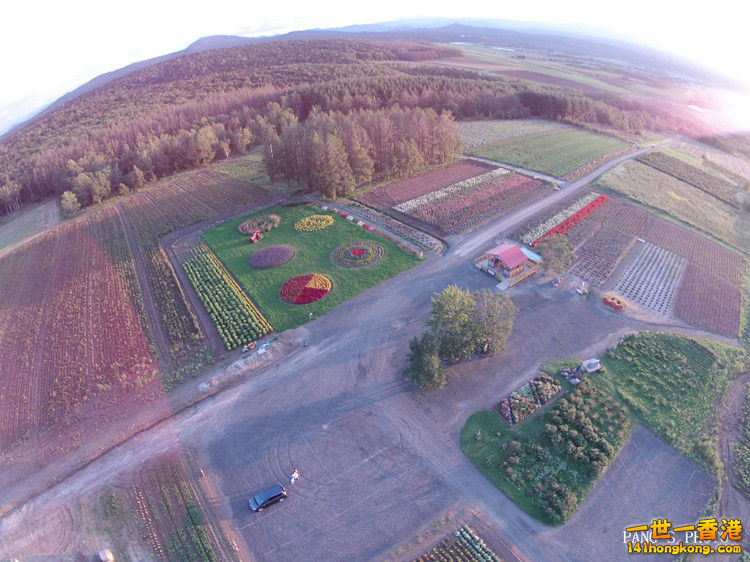 DJI00023.JPG