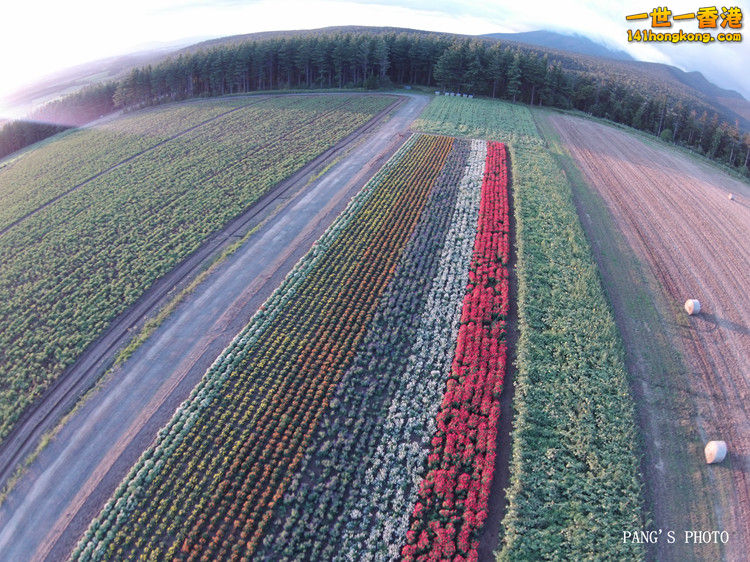 DJI00027.JPG
