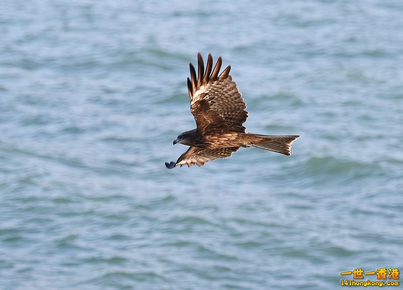 DSC_0213.JPG