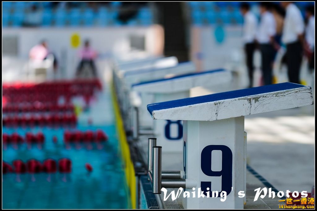 140927 D4S Swimming - 0001.jpg