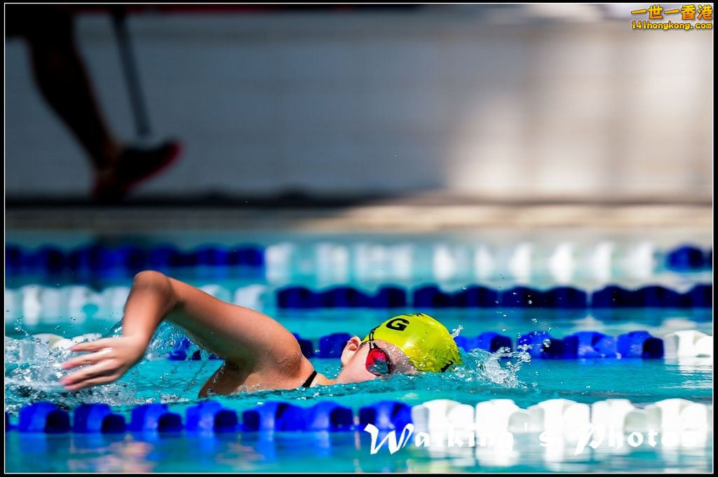 140927 D4S Swimming - 0040.jpg