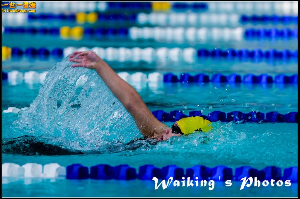 140927 D4S Swimming - 0094.jpg