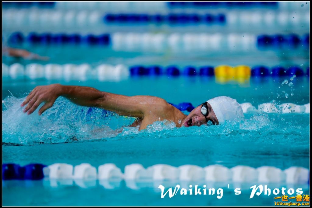 140927 D4S Swimming - 0107.jpg
