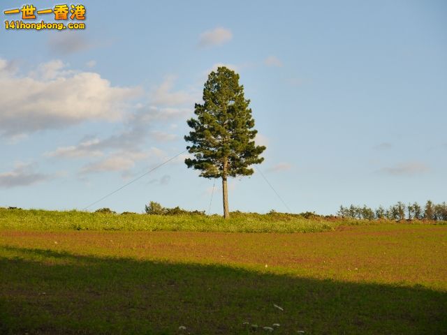 P1050176 (640x480).jpg