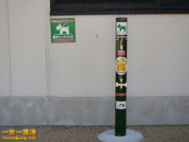 P1050265 (640x480).jpg