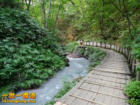 P1050347 (640x480) (480x360).jpg
