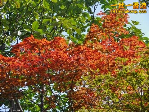P1050427 (640x480) (480x360).jpg