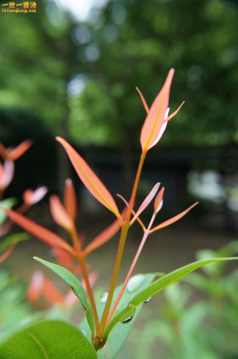 DSC06000.JPG