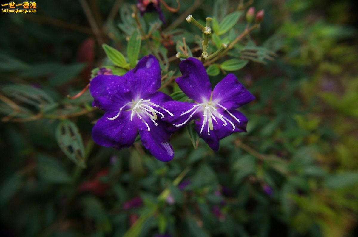 DSC06002.JPG