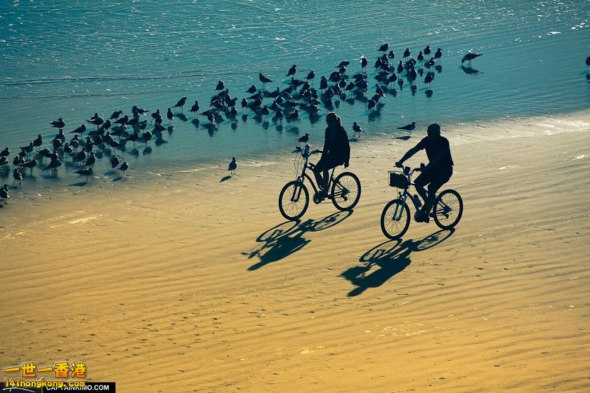 wpid17696-Couples-at-Daytona-Riding-Bicycle-on-Beach.jpg