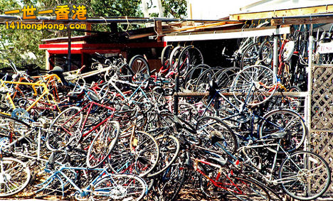 bicycles-1.jpg