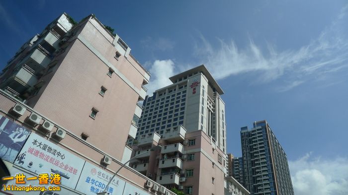 P1050028.JPG