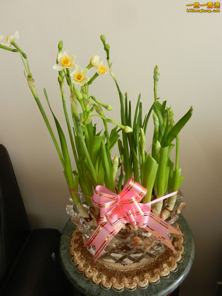 DSCN1239.JPG