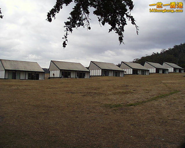 PIC00016.jpg