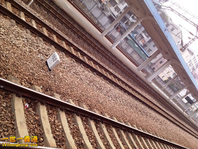 A0031.jpg
