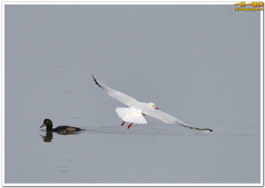 DSC_2584.jpg