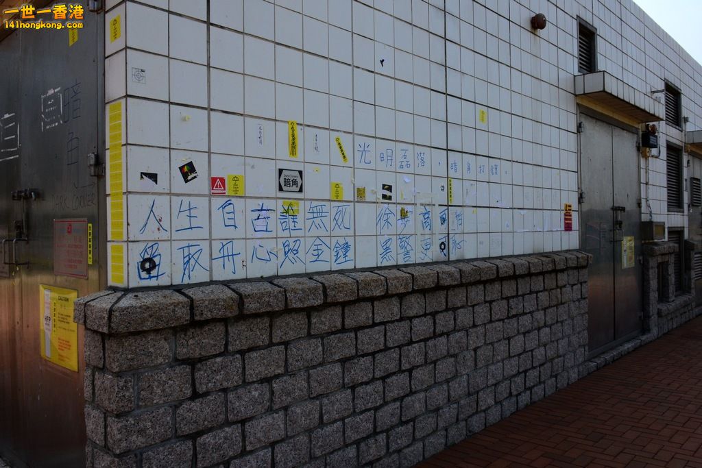 DSC_8942.jpg
