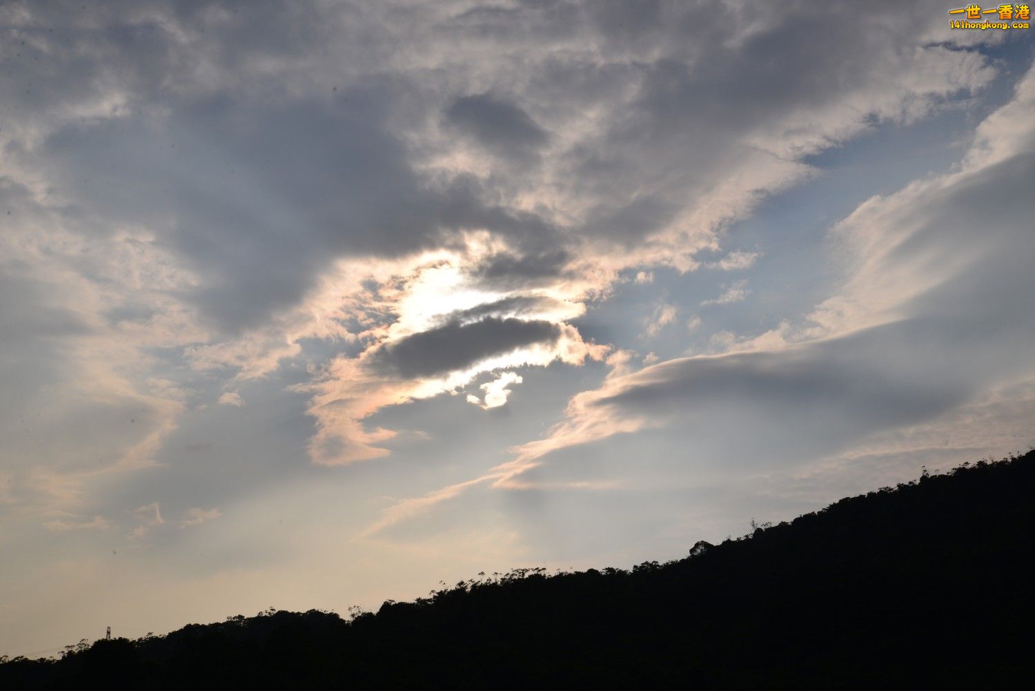DSC_2932.JPG