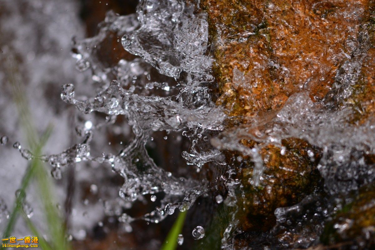 DSC_8024.JPG