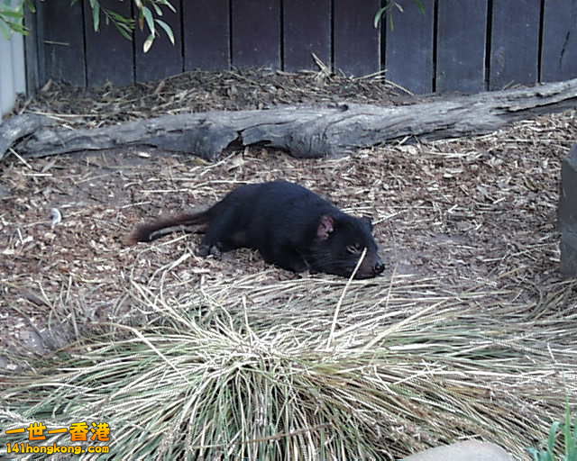 PIC00018.jpg