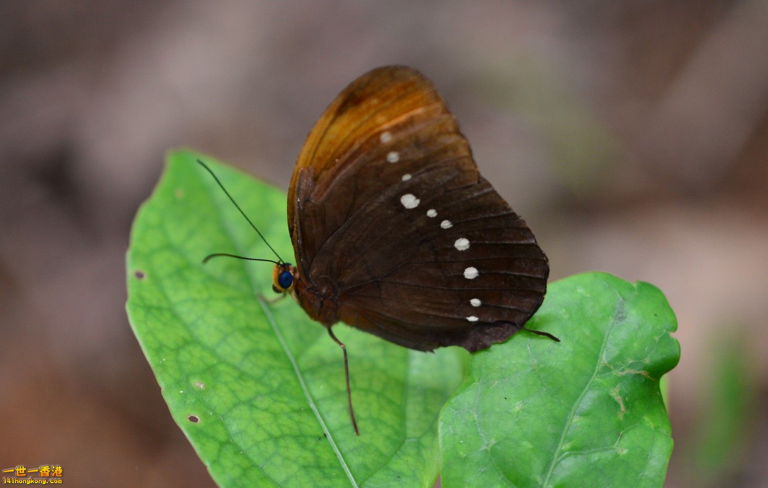 DSC_8436.JPG