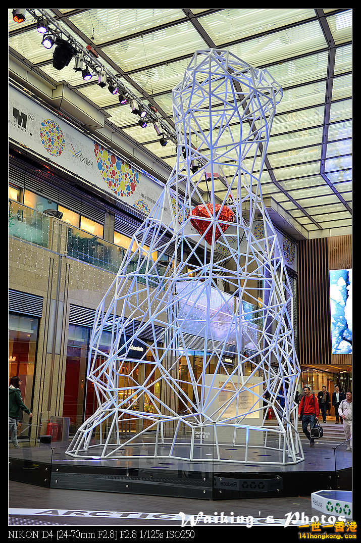 DSC_7018.jpg