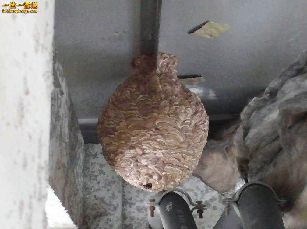 20141028_150047.jpg