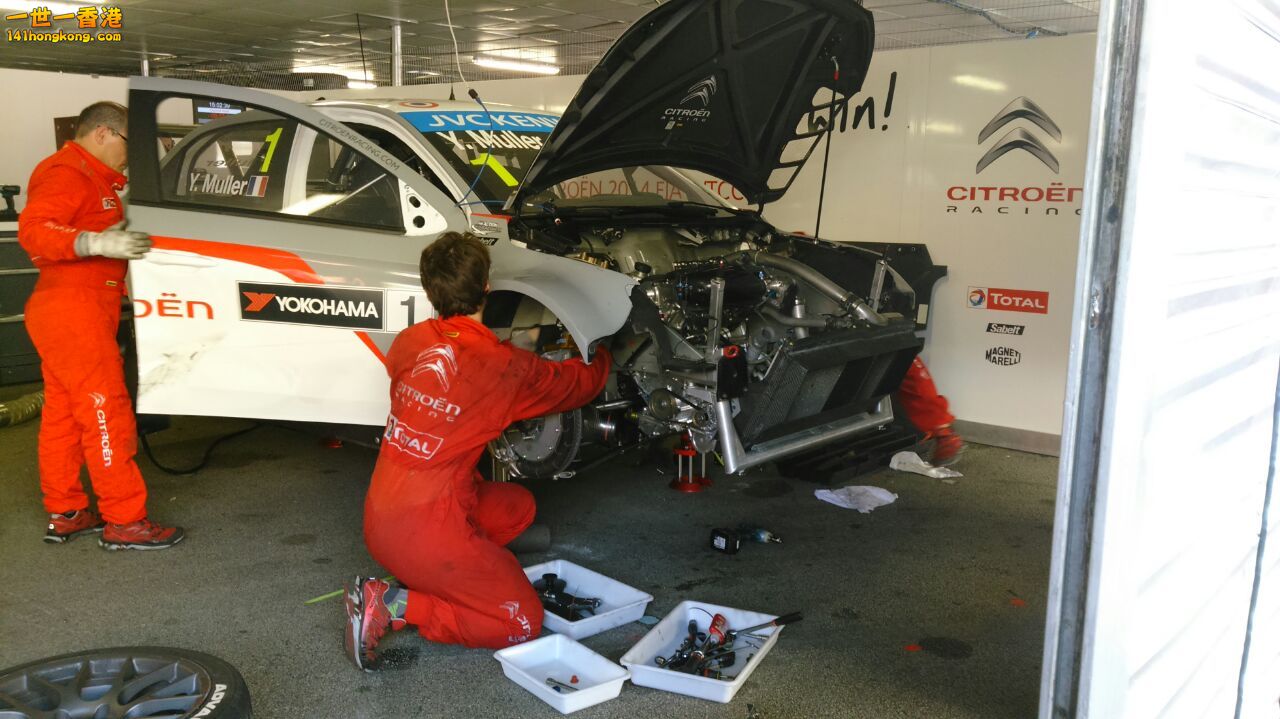 P4.jpg