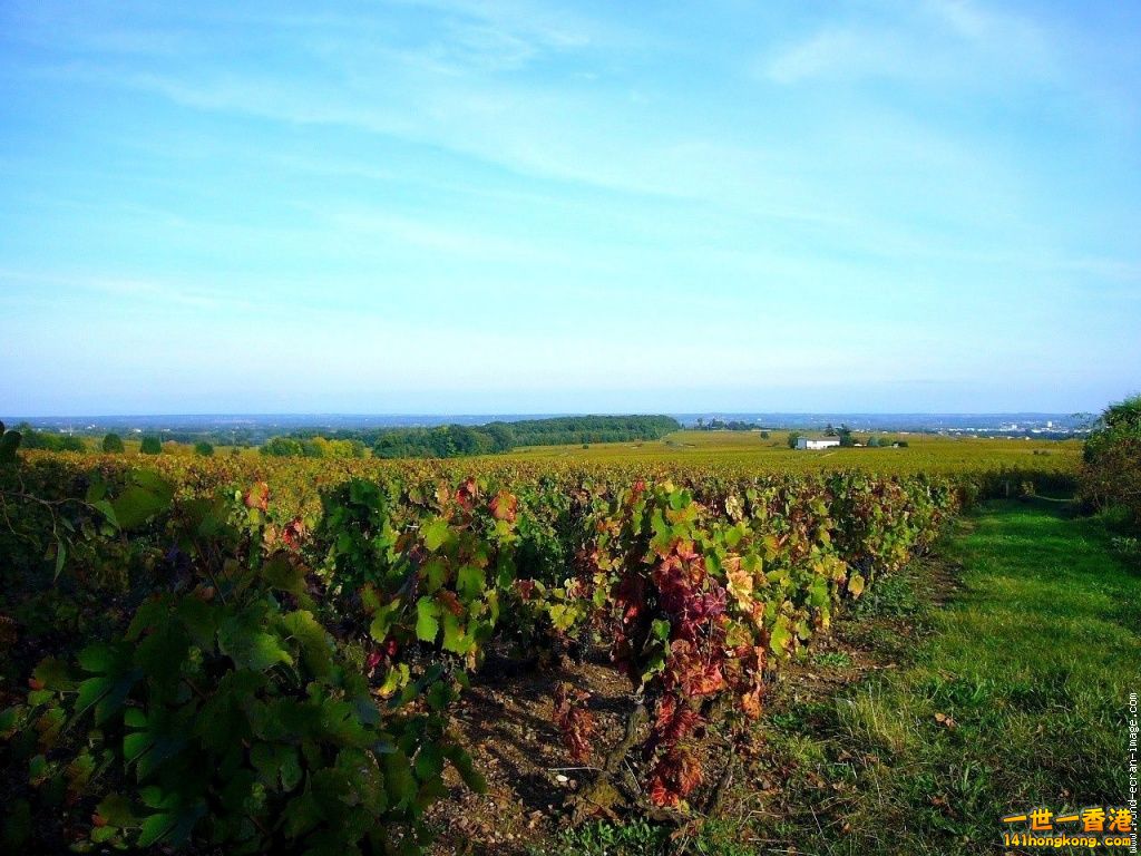 bmorgon-beaujolais.jpg