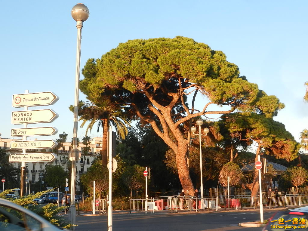 DSCN1854.JPG
