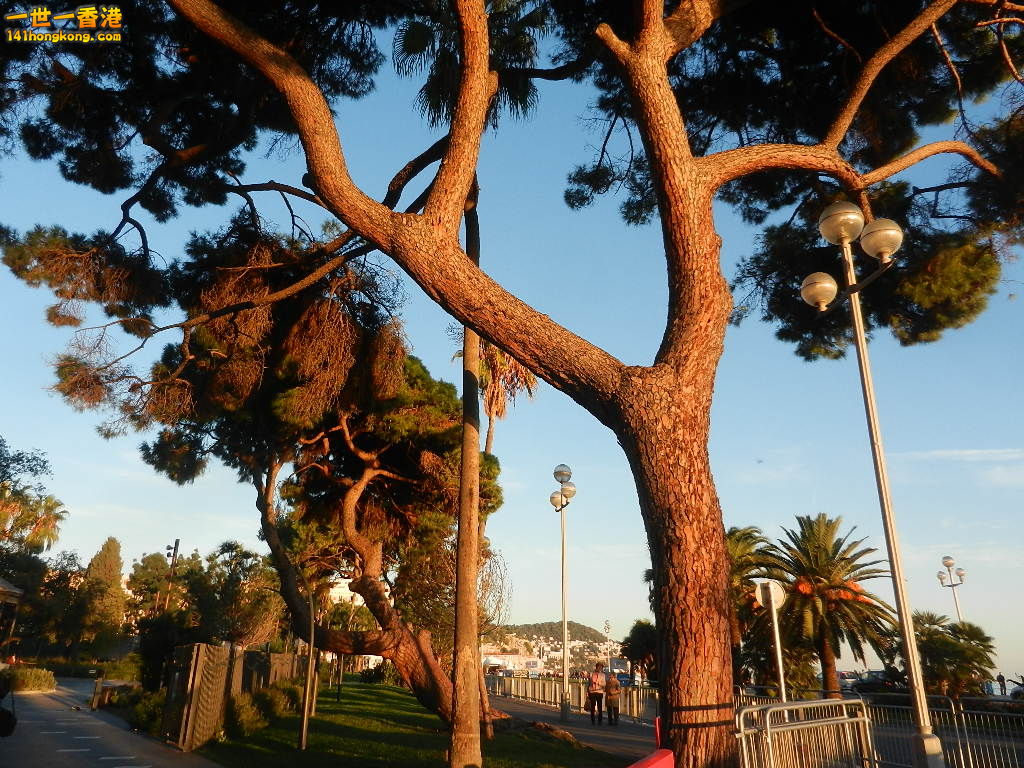 DSCN1858.JPG