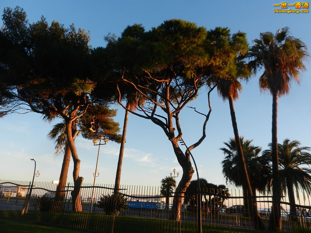 DSCN1863.JPG