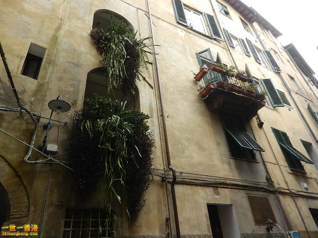 DSCN2504.JPG