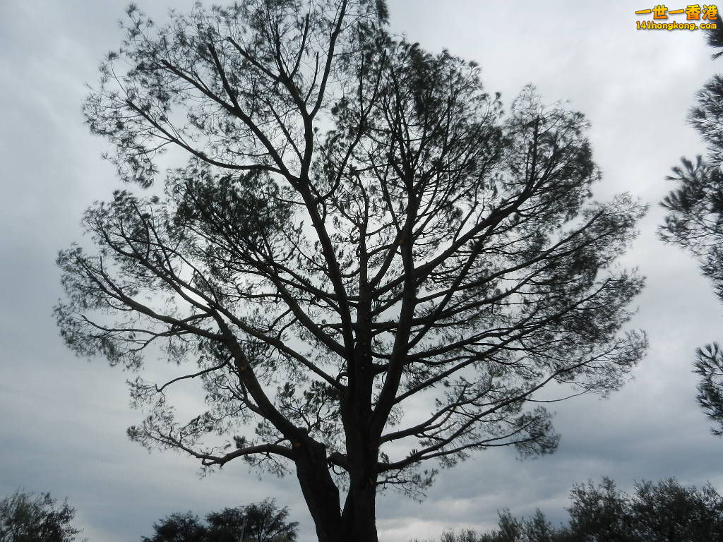 DSCN2516.JPG