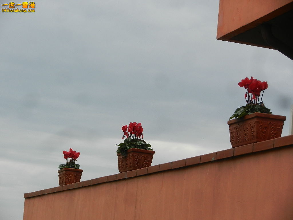 DSCN2524.JPG