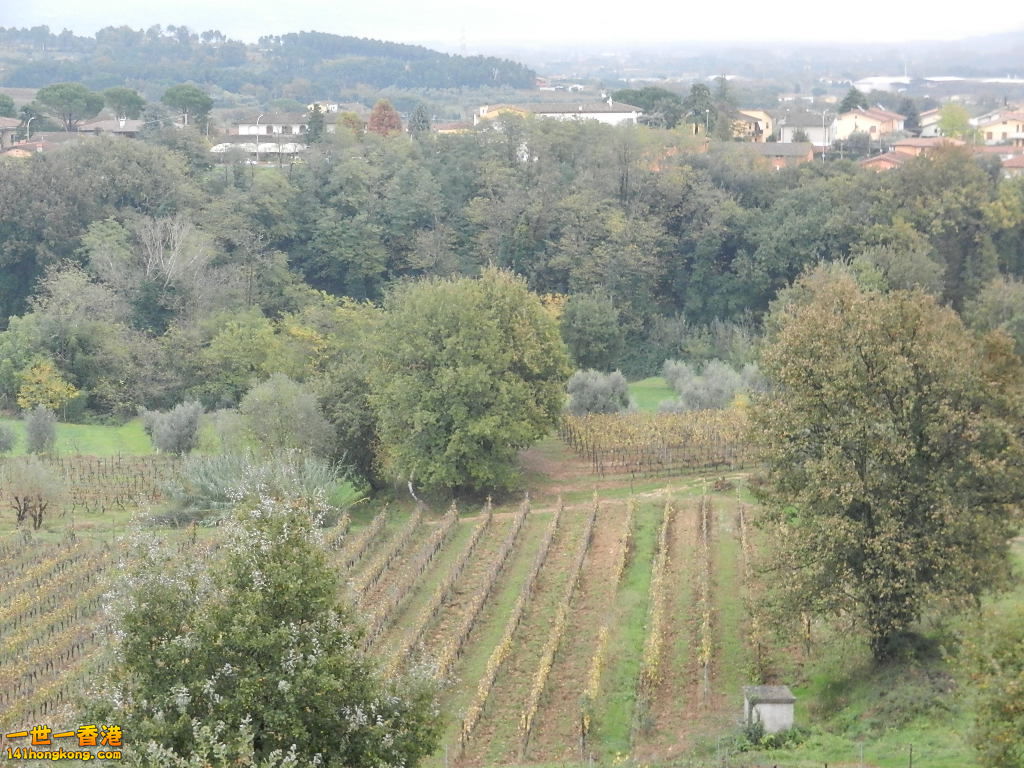 DSCN2537.JPG
