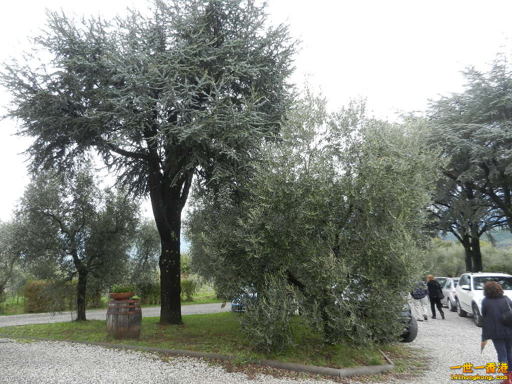 DSCN2583.JPG