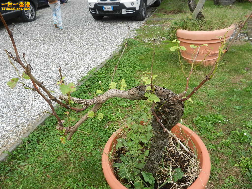 DSCN2588.JPG