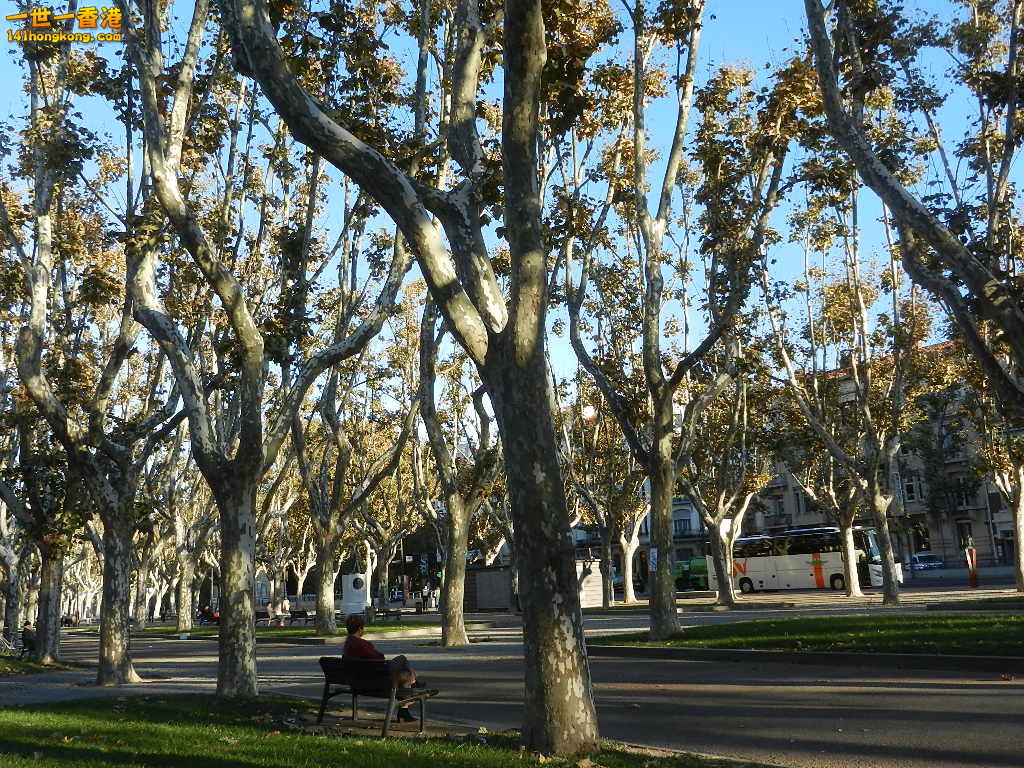DSCN3028.JPG