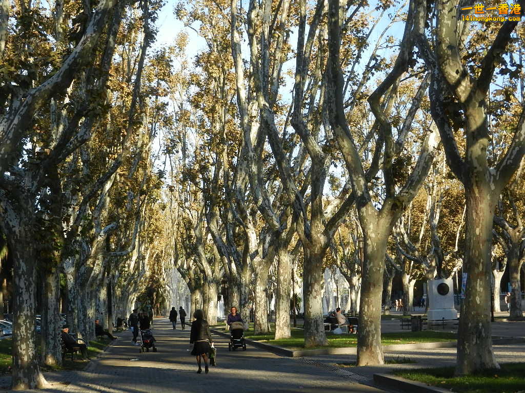 DSCN3030.JPG